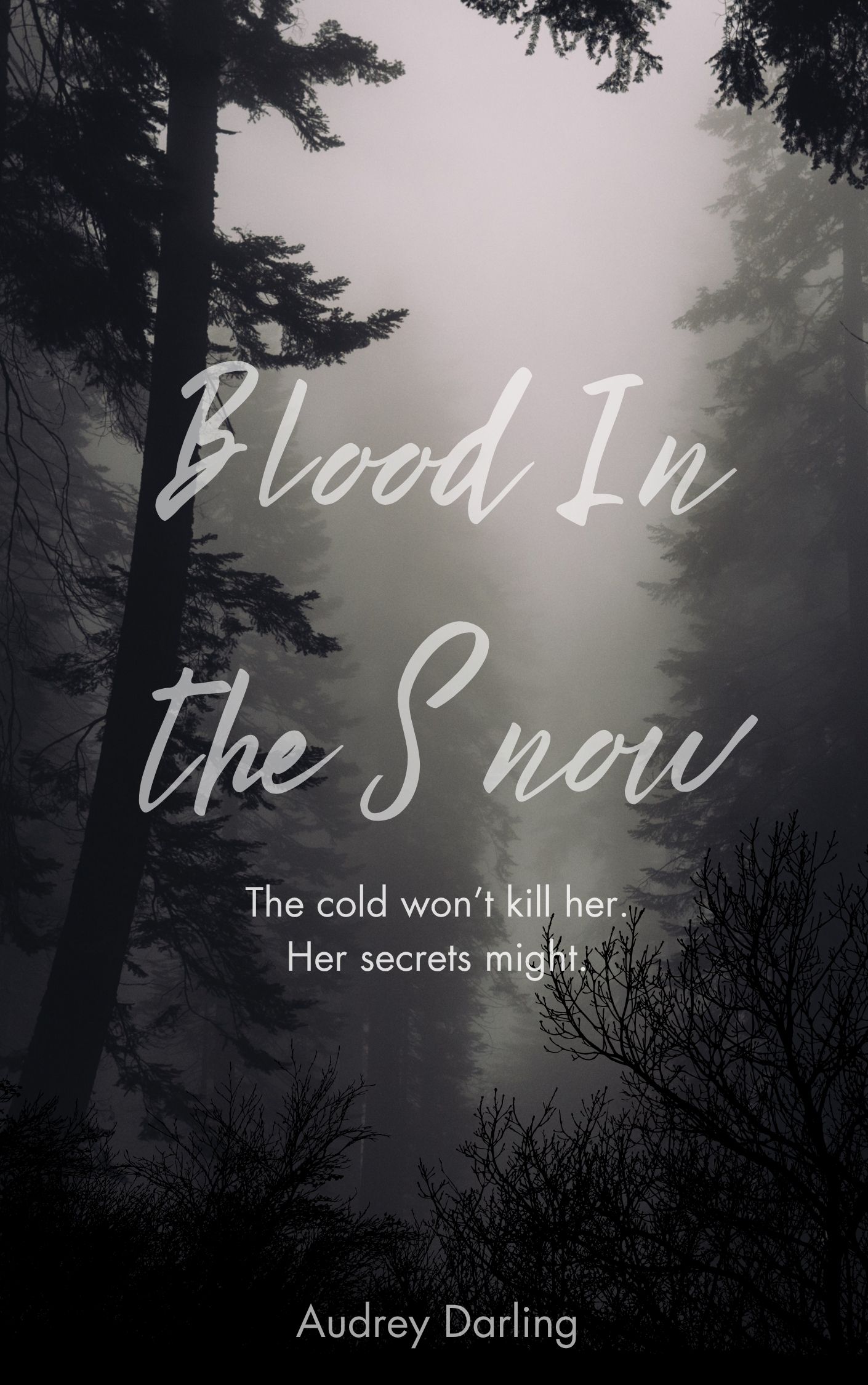 Cover of Blood in the Snow by Audrey Darling